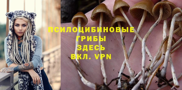 трава Абаза