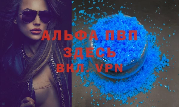 СК Алзамай