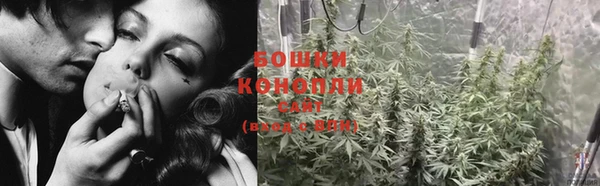 ПСИЛОЦИБИНОВЫЕ ГРИБЫ Алексин